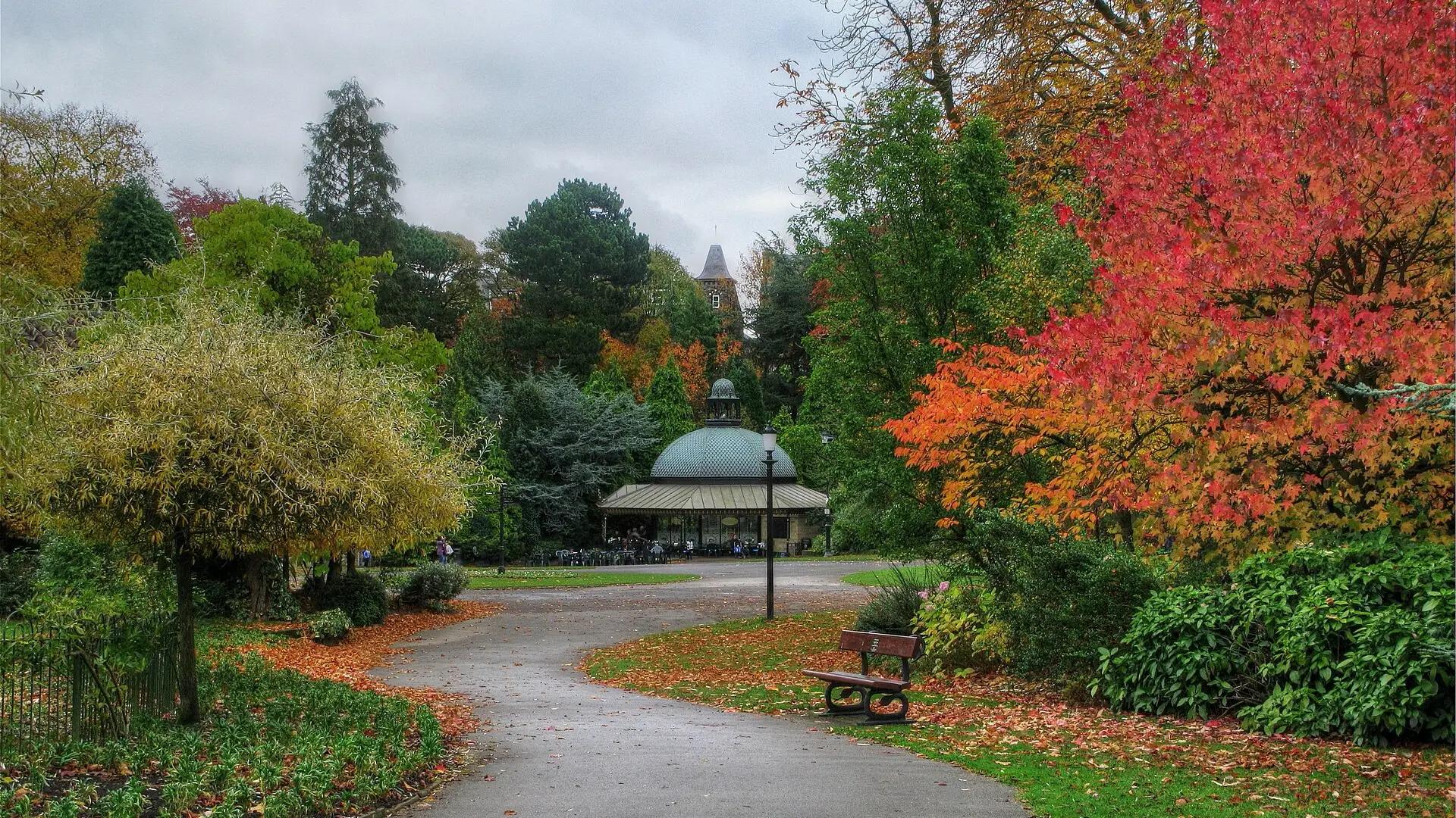 Harrogate skyline