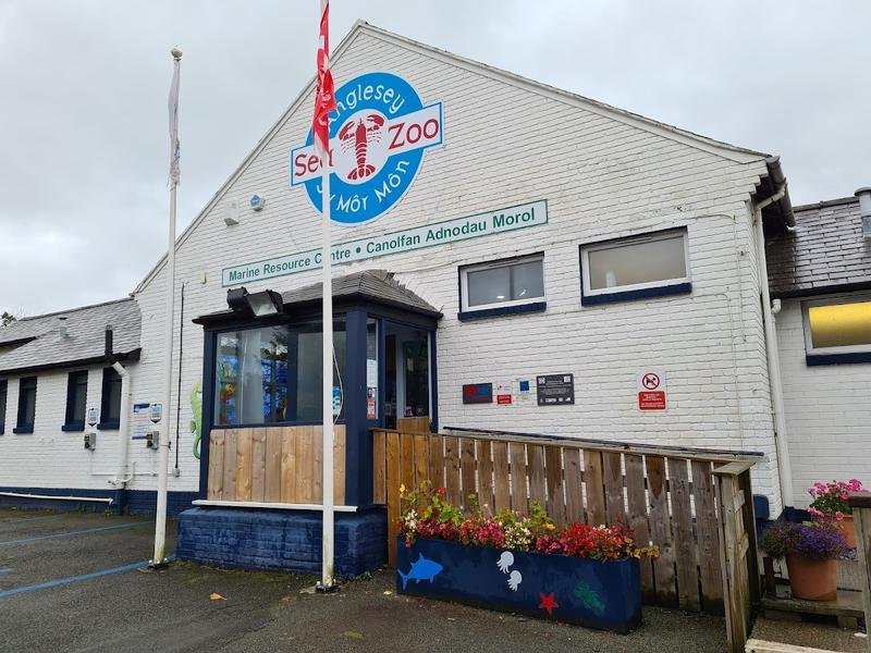 Anglesey Sea Zoo — photo 3