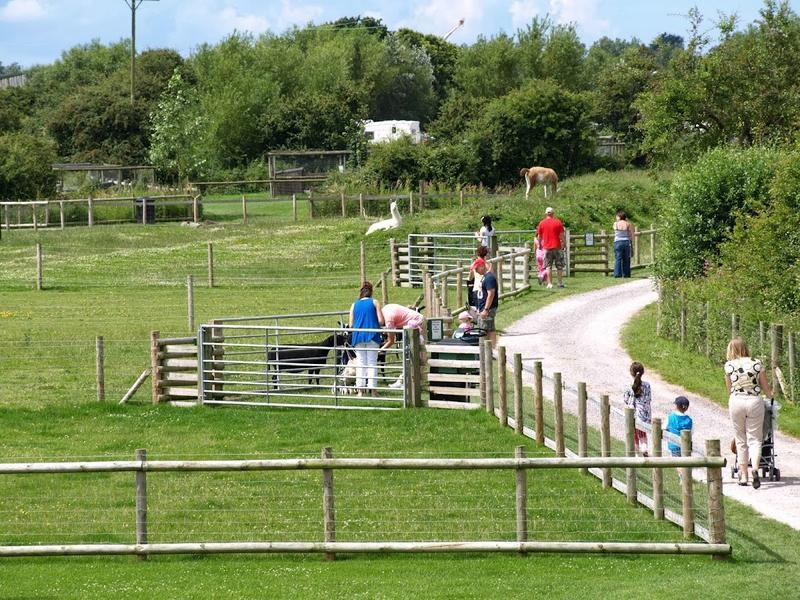 Animal Farm Country Park