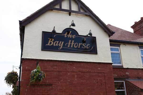 Bay Horse