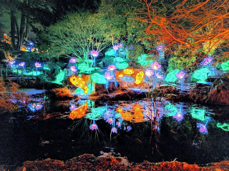 Birmingham Botanical Gardens — photo 3