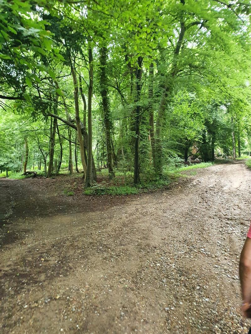 Bradenham Manor