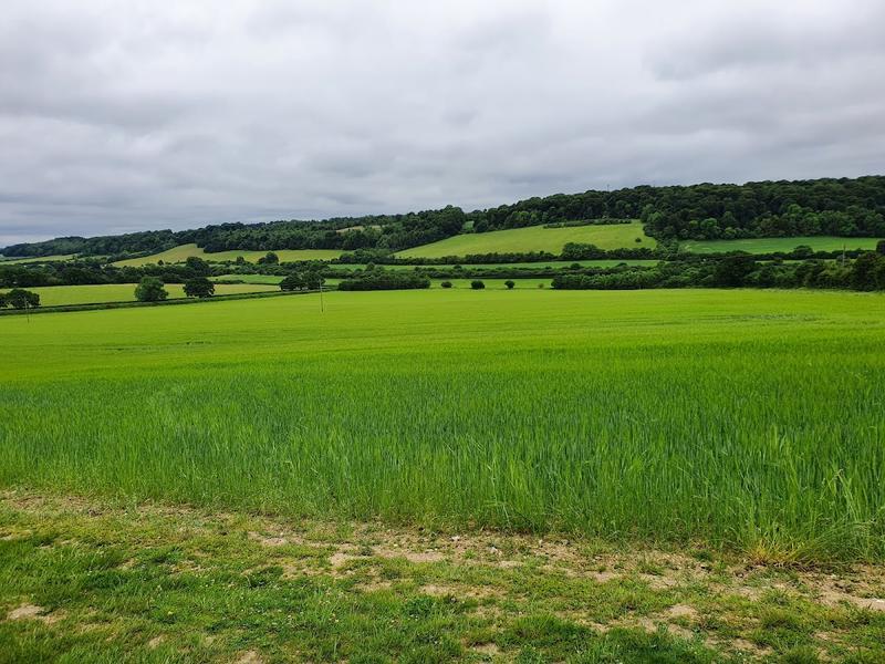 Bradenham Manor — photo 3