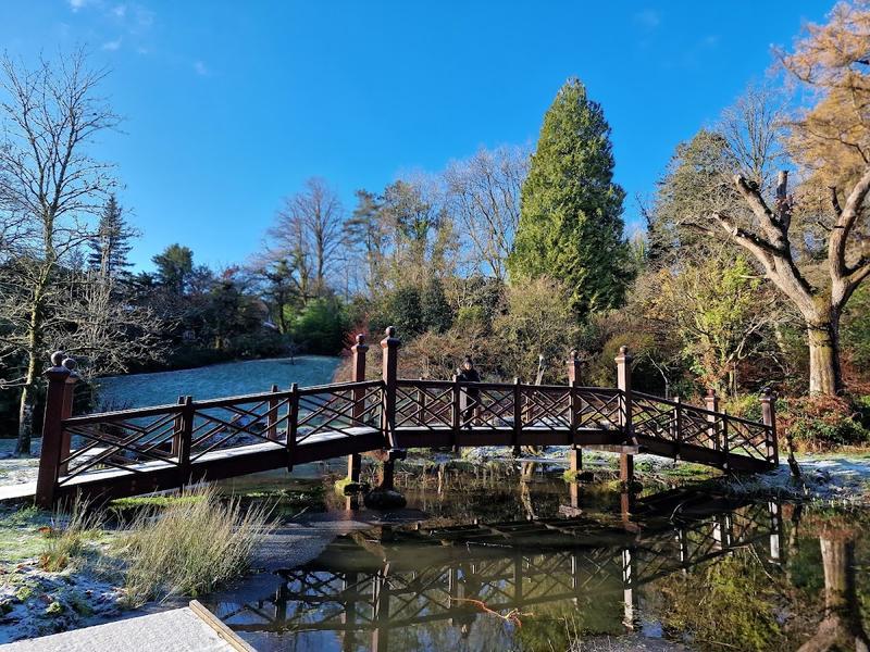 Bryngarw House — photo 3