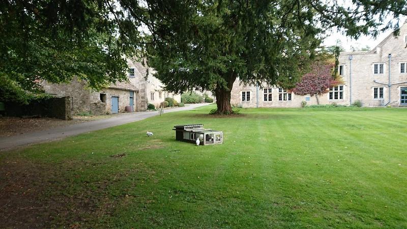Chavenage House — photo 2