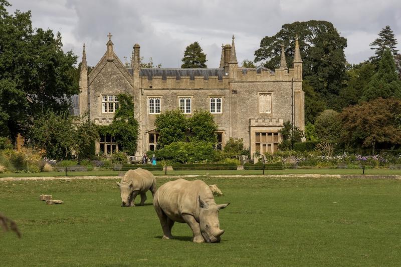 Cotswold Wildlife Park