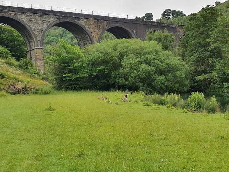 Cressbrook Hall