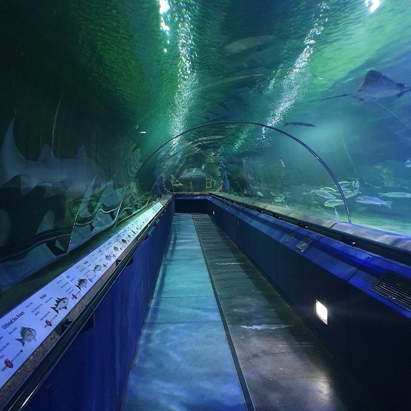 Deep Sea World