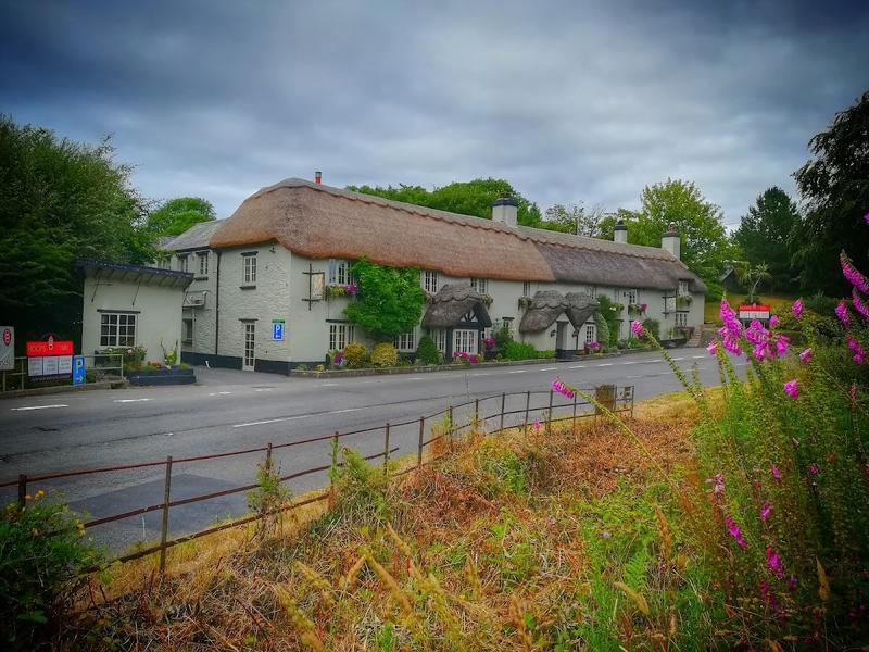 Hoops Inn — photo 3