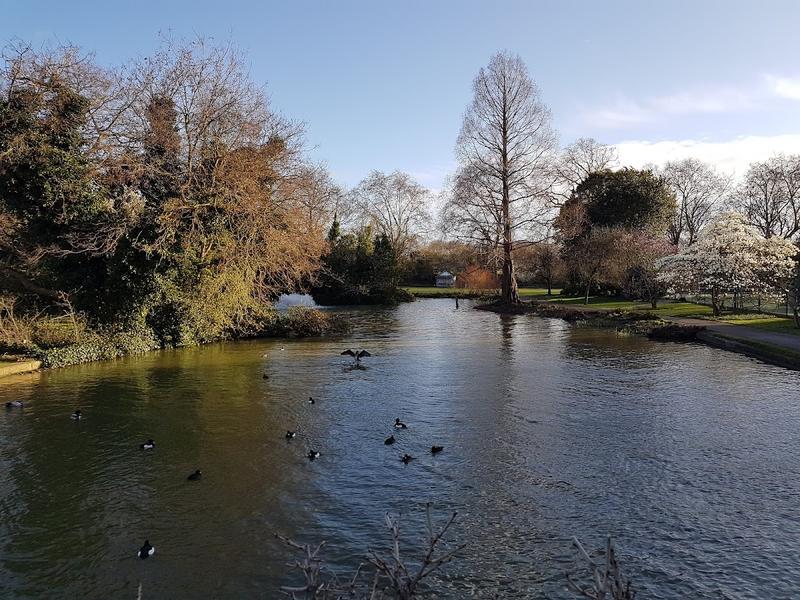 Hurlingham Club — photo 3