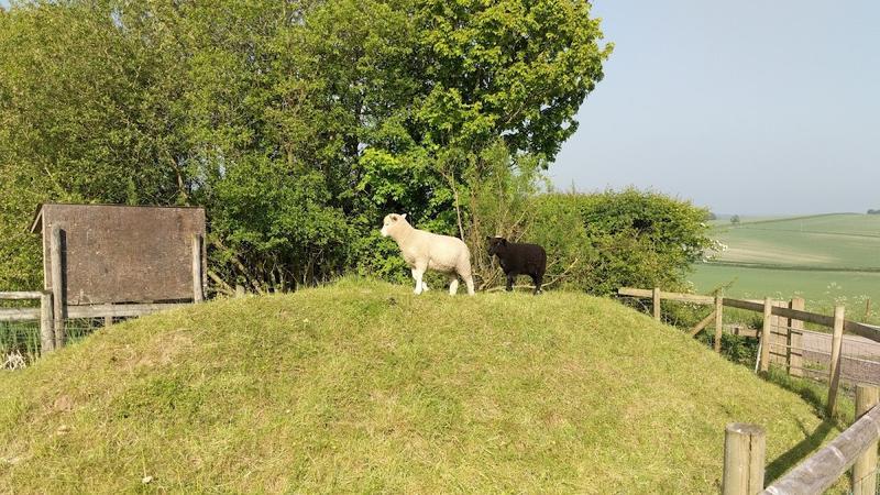 New Barn Field Centre