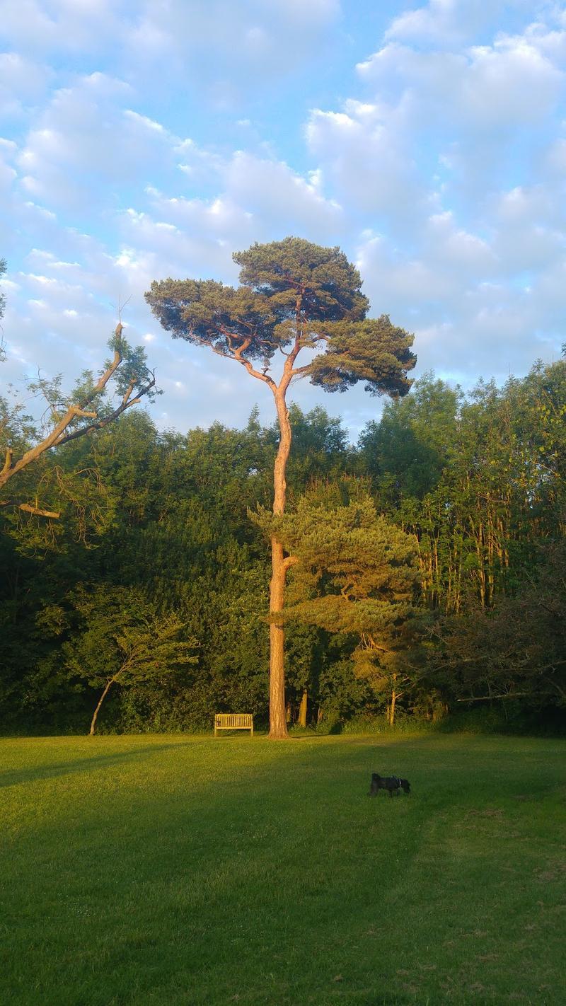 Oaks Lodge — photo 2