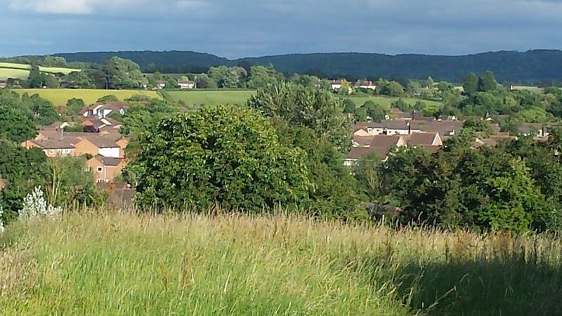 Rumwell Manor Hotel — photo 2