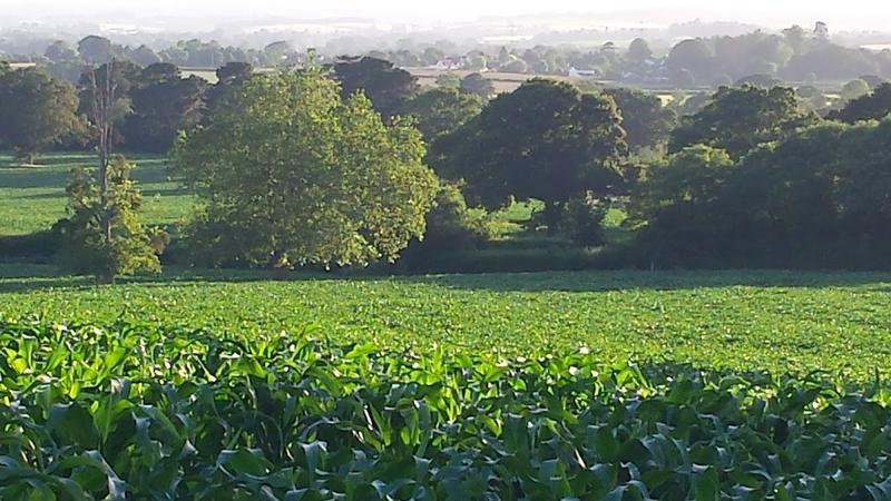Rumwell Manor Hotel — photo 3