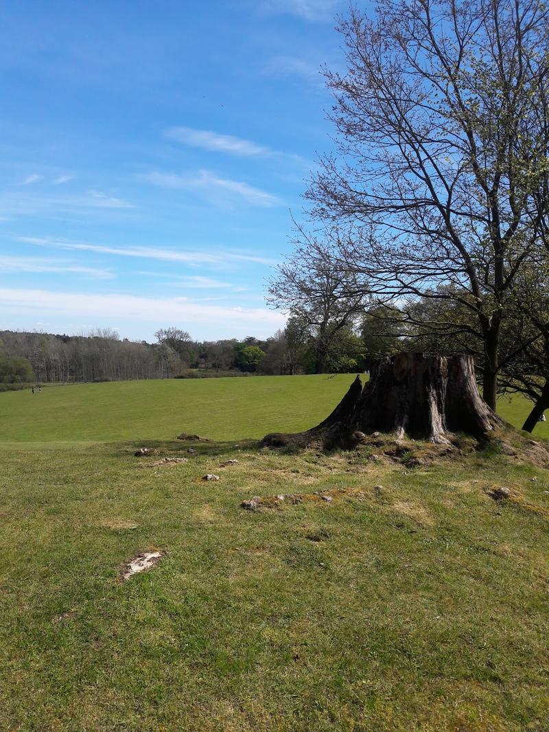 Sunningdale Park