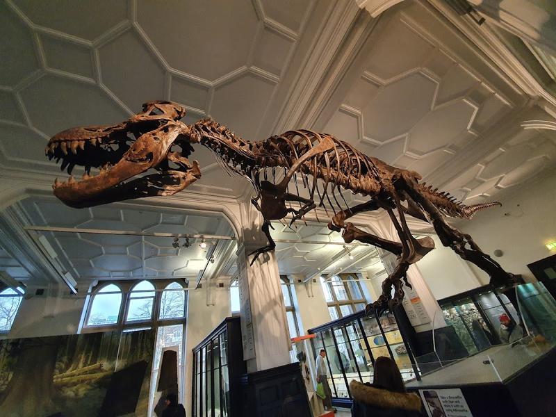 The Manchester Museum