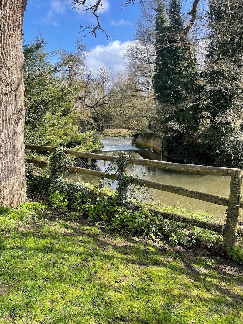 The Mill House Hotel — photo 3