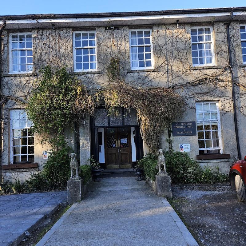 Ty Newydd Country Hotel