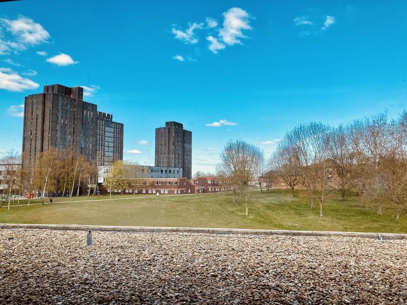 University of Essex — photo 3