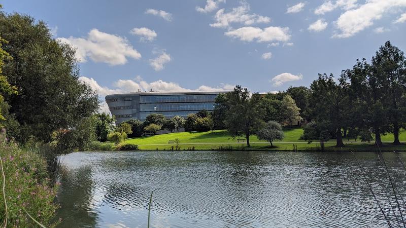 University of Surrey