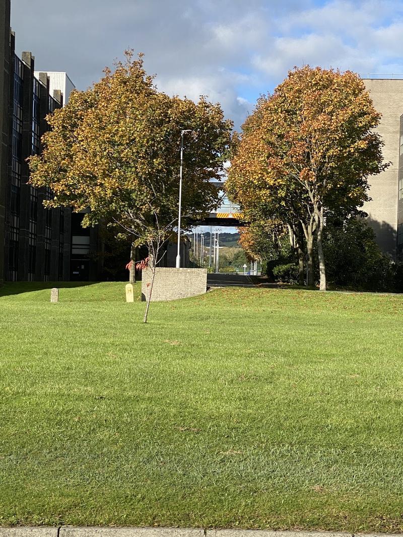 Ulster University Jordanstown Campus — photo 2