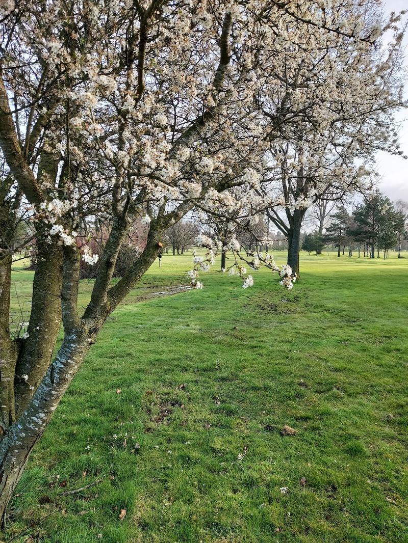 Vicars Cross Golf Club — photo 3