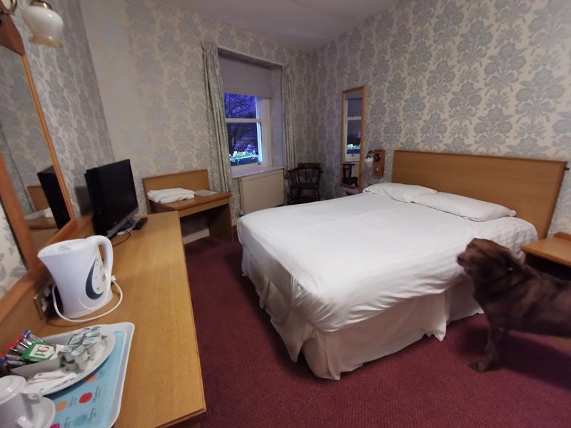Waterford Lodge Hotel — photo 3
