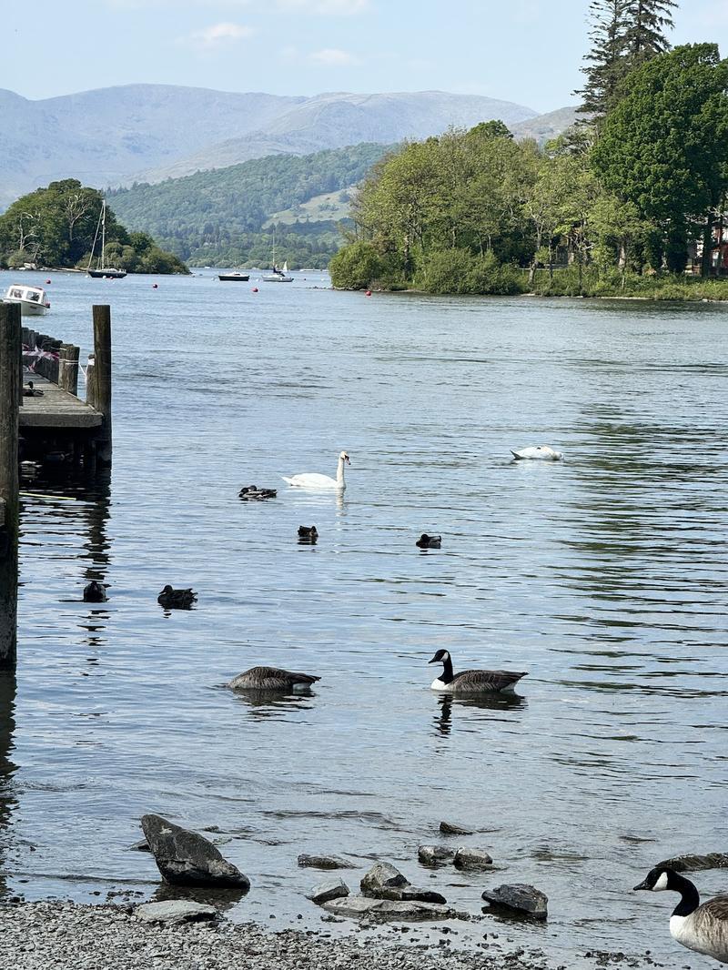 Windermere Lake Cruises