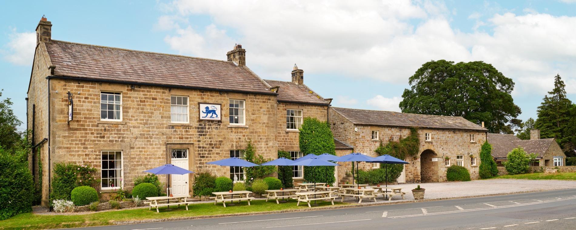The Blue Lion