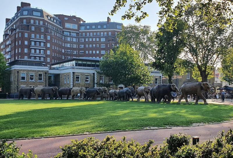 Chelsea Village