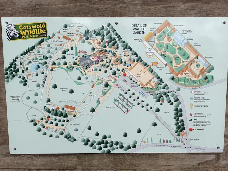 Cotswold Wildlife Park — photo 3