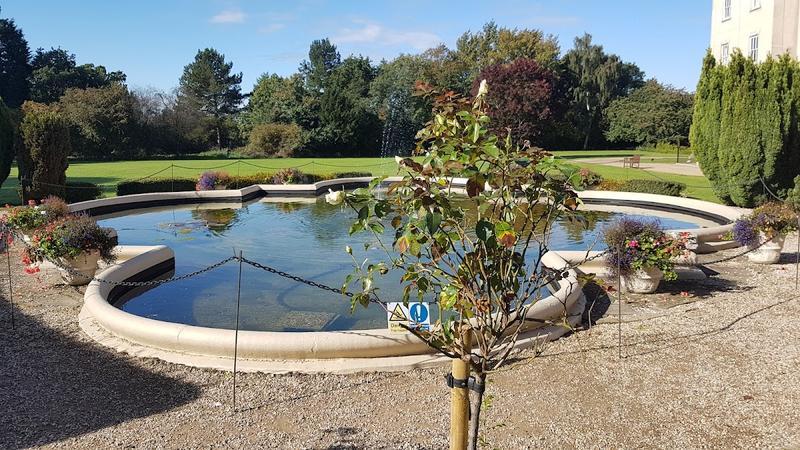 Down Hall Country House Hotel — 3