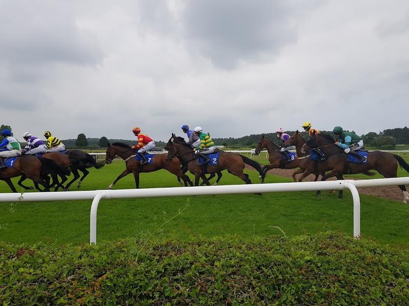 Market Rasen Racecourse