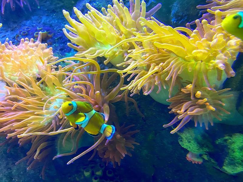 National Marine Aquarium — photo 3