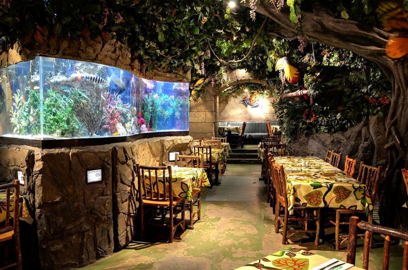 Rainforest Cafe