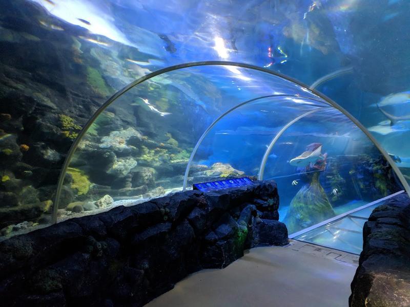 Redcliffe Catering at The National Sea Life Centre