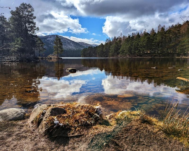 Rothiemurchus Estate