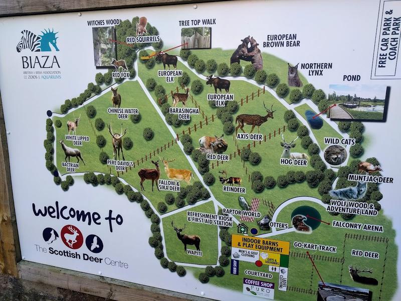 The Scottish Deer Centre