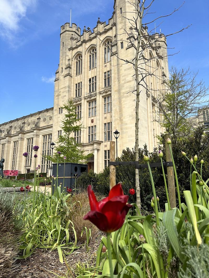 University of Bristol — photo 3