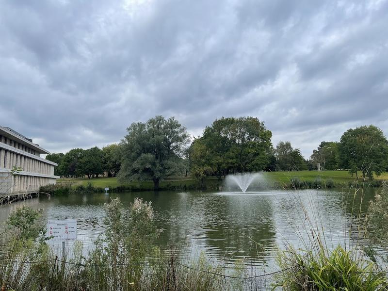 University of Essex