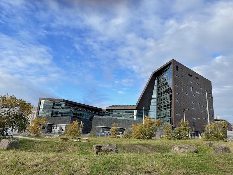 University of Plymouth