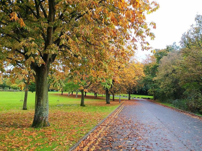 Ulster University Jordanstown Campus