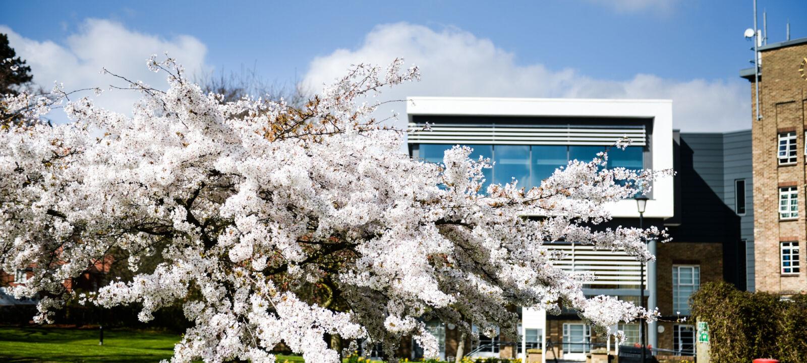 Bishop Grosseteste College