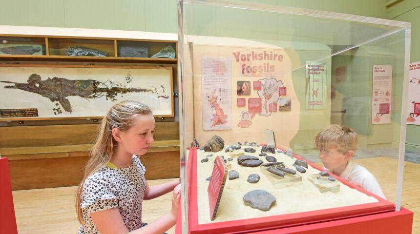 Yorkshire Museum