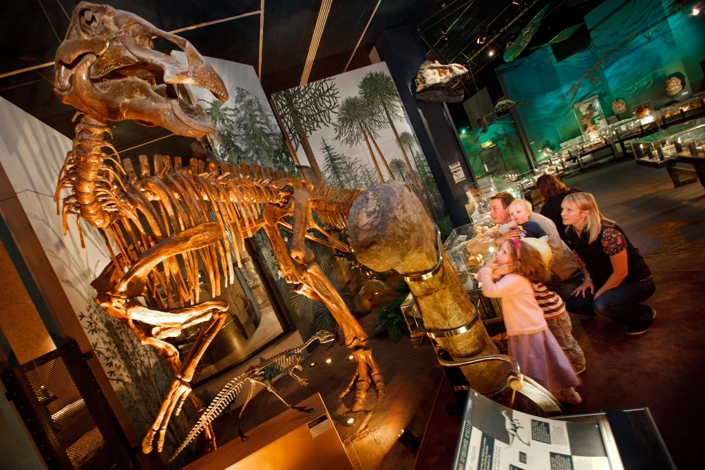 National Museum Cardiff - Image 1