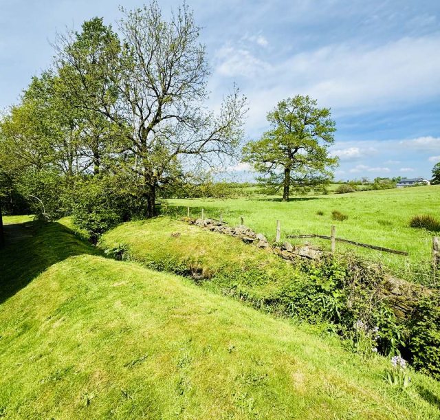 The Old Stone Trough & Country Lodge Inn - Image 1