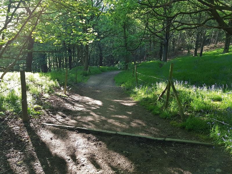 Dewsbury District Golf Club thumbnail 3