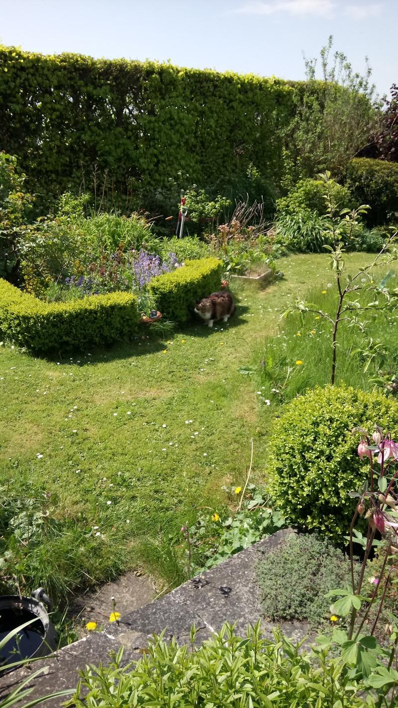 Drybank Farm - Image 1