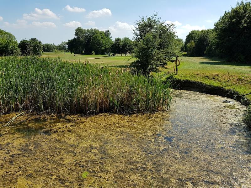 Long Sutton Golf Club thumbnail 3