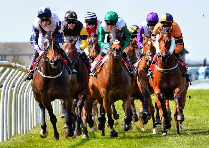 Musselburgh Racecourse - Image 1